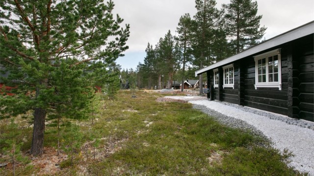Fasade og naturtomt