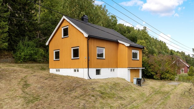 Eiet tomt i skrånende terreng opparbeidet med plen og omkringliggende vegetasjon.