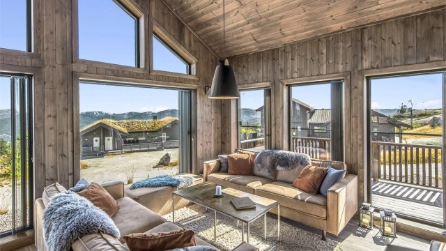 Den svarte pendellampen er fra Louis Poulsen, Above-pendel. Et flott smykke over sofa-gruppen.