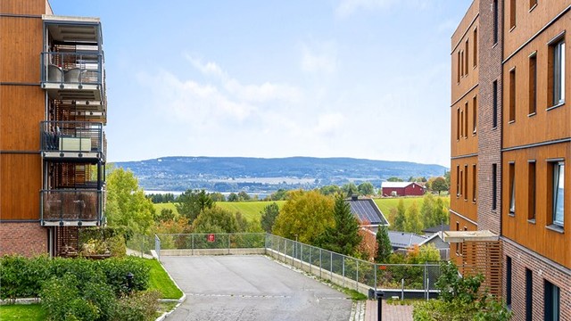 Åpent utsyn mot nærområdet og åsryggene.