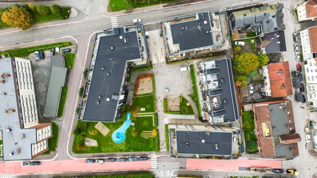 Svært pent opparbeidet tomt med gressplen, hekk, prydbusker og diverse beplantninger