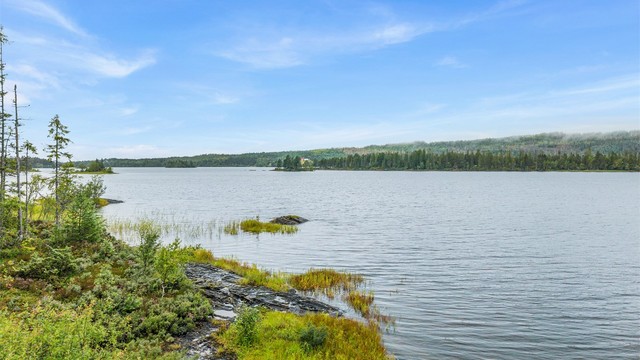 Nærområdet byr på flotte natur og friluftsopplevelser, med vann, skog og variert terreng rett utenfor eiendommen.
