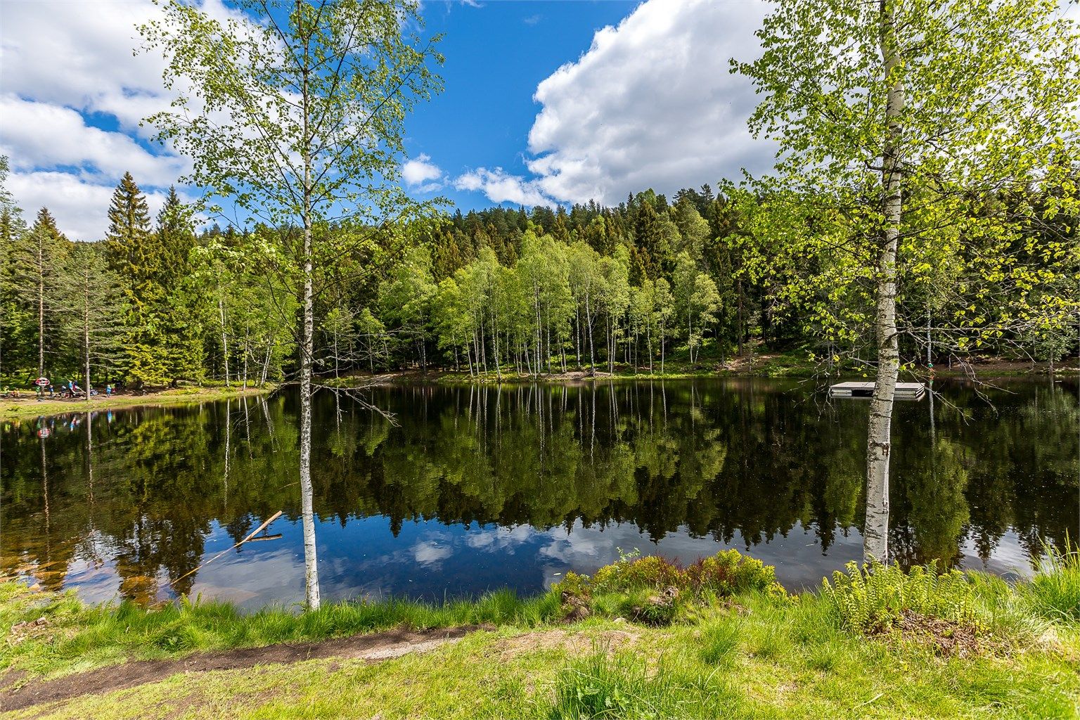 10 min gange til Isdammen hvor man kan bade på sommeren og stå på skøyter på vinteren. Her finner du en felles grill tilgjengelig hele året og koselige sittegrupper.