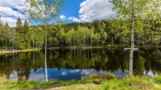10 min gange til Isdammen hvor man kan bade på sommeren og stå på skøyter på vinteren. Her finner du en felles grill tilgjengelig hele året og koselige sittegrupper.