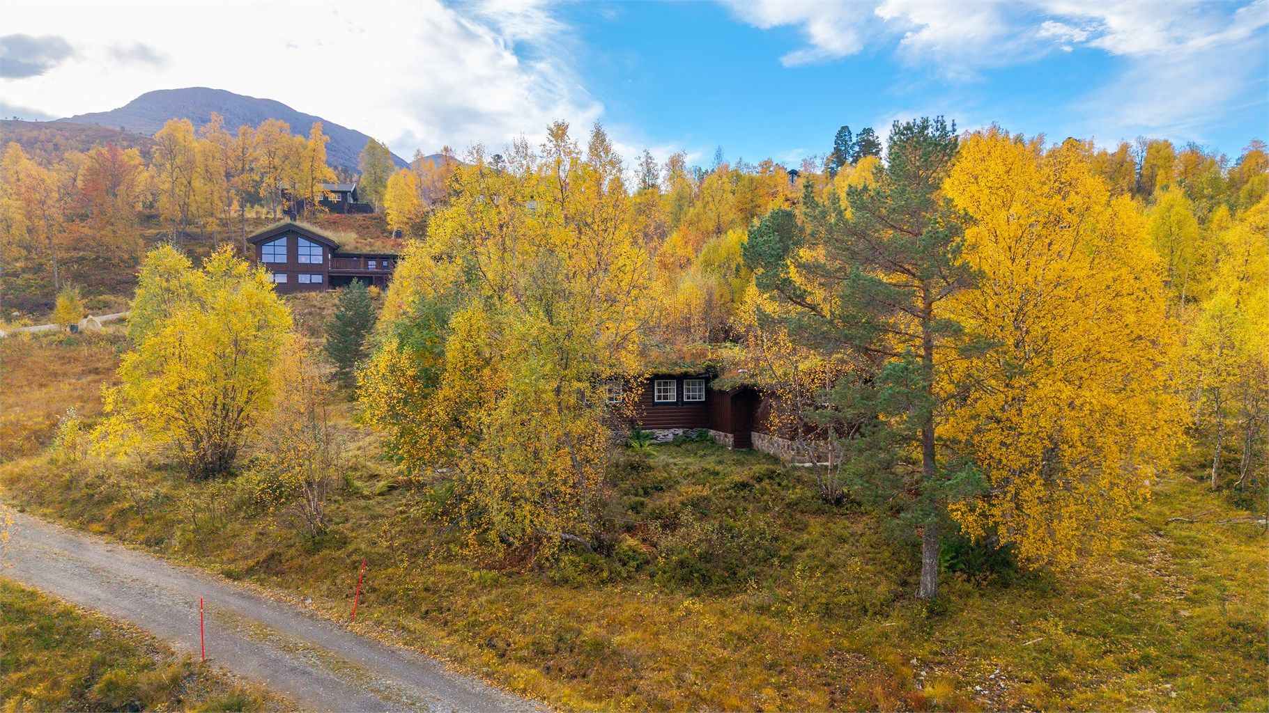 Romslig tomt omkranset av fjellbjørkeskog og natur.