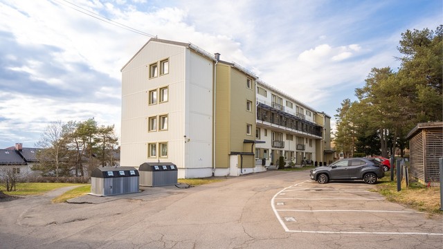 Asfaltert adkomst og biloppstillingsplasser på felles tomt.