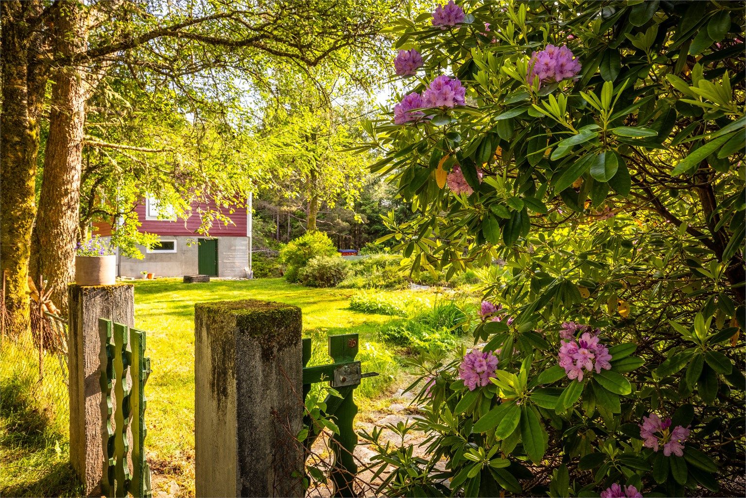 - Tomten er naturlig avgrenset og inngjerdet og man kan kjøre nesten helt frem til hytten -