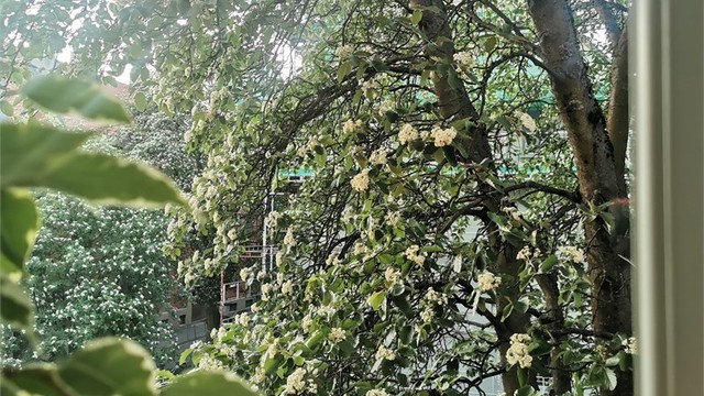 Utsyn fra soverommet en sommersdag