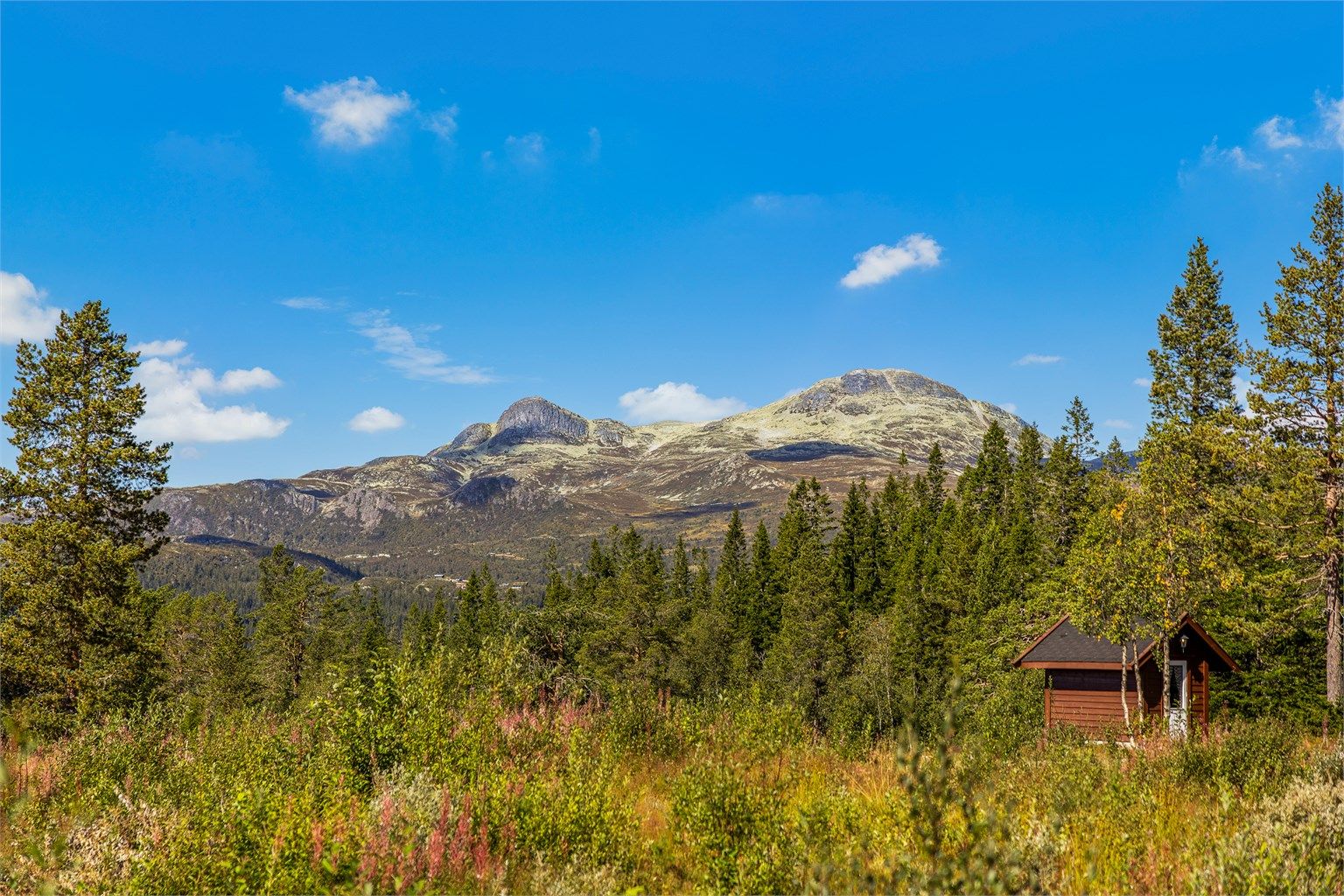 Utsikt mot Gaustaknærne.