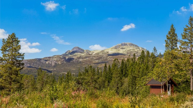 Utsikt mot Gaustaknærne.