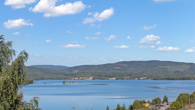 Nærområdet byr på flotte rekreasjonsmuligheter langs vannet og i skogen.