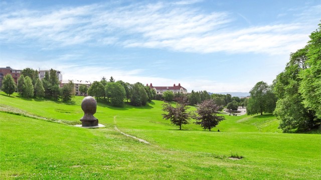 Nærområdet - De kjente grønne lungene Torshovdalen, Botanisk hage og Tøyenparken/Ola Narr er populære rekreasjonsområder som ikke ligger langt unna.