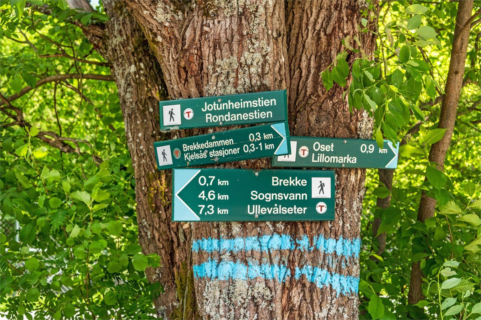 Det er få minutters gange til Maridalsporten og Brekke, med milevis med skiløyper og turstier