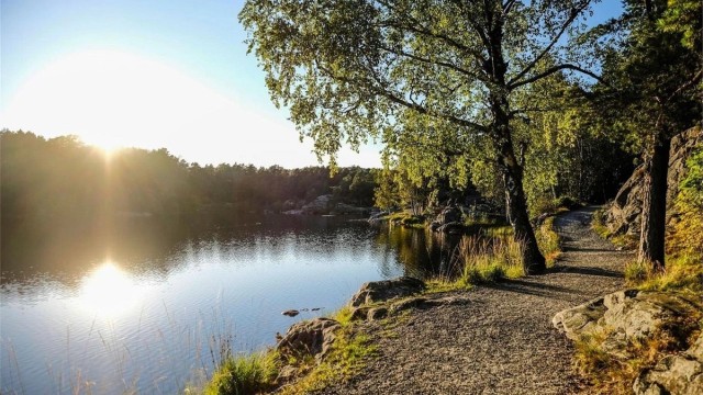 Baneheia med flott lysløype, badevann og bymark
