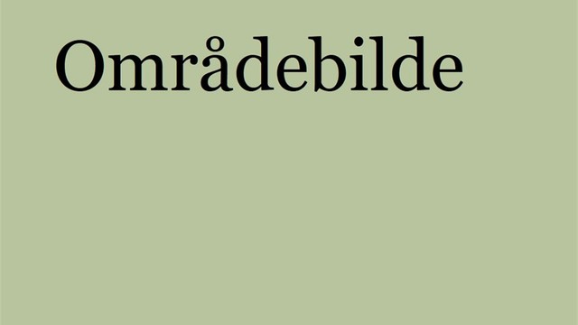 Områdebilde