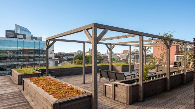 Takterrassen har parsellkasser, pergola og flere sittegrupper som kan benyttes av beboerne.