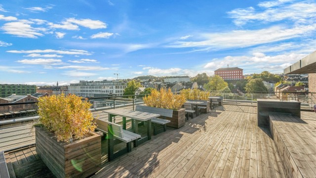 Felles takterrasse med sittegrupper, plantekasser og utsikt mot Kristiansten festning.