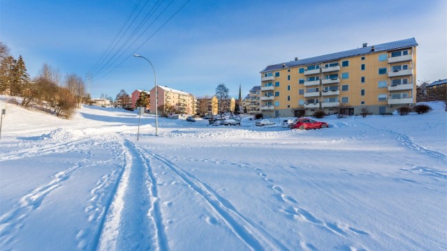 Store fellesområder omkranser borettslaget