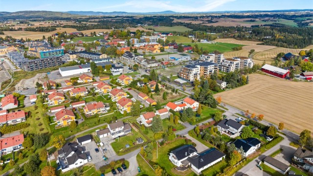 I Ask sentrum finnes dagligvarebutikker, apotek, kafé og Gjerdrum kulturhus.