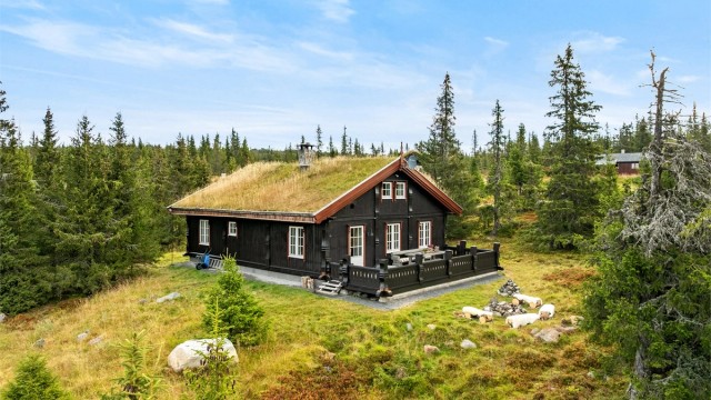 Velkommen til Heståsen 6. Foto: Oh Shots