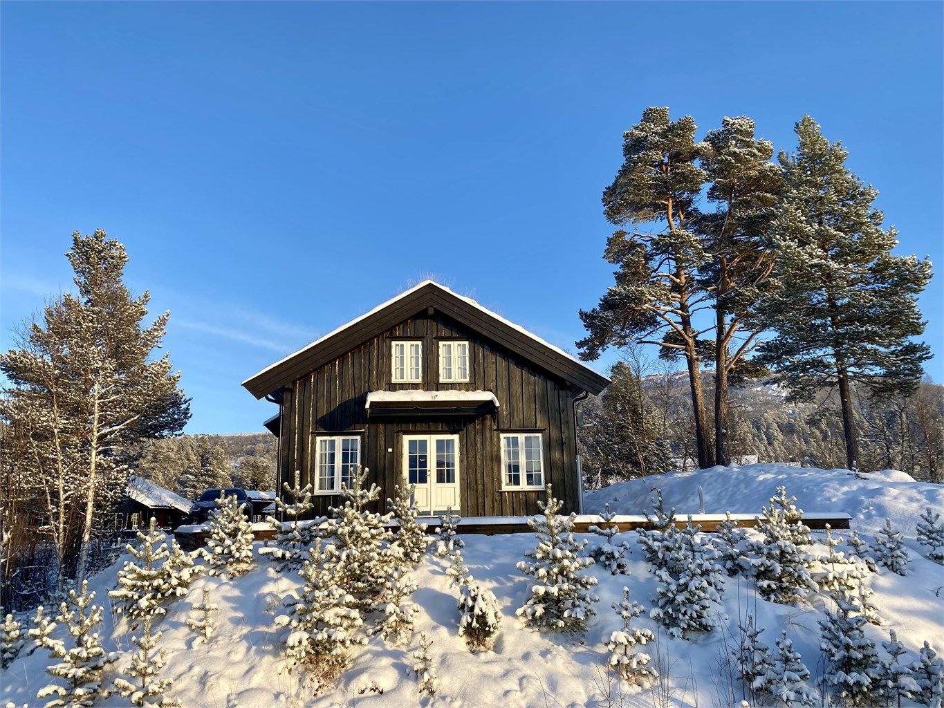 Usjenert terrase i fronten av hytten.