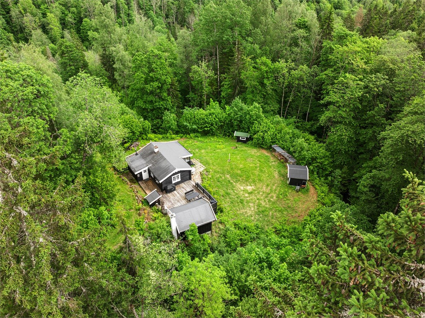 Her kan du finne roen, omgitt av skog og natur.