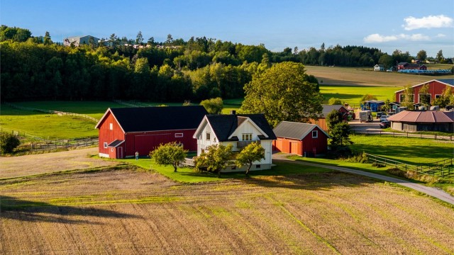 Gårdstunet har en luftig plassering omkranset av grønne jorder og etablert vegetasjon.