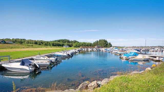 Nærområdet