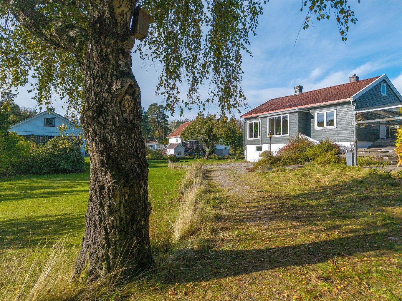 Romslig hage med mange muligheter