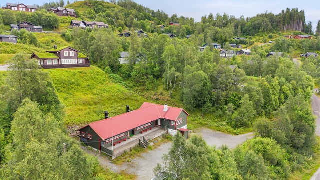 Vinterbrøytet vei helt frem til eiendommen, med parkering på eget tun.