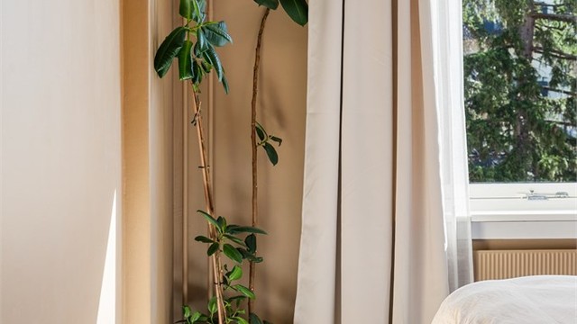 Boligen vender ut mot stille bakgård med trær som er grønne hele året.