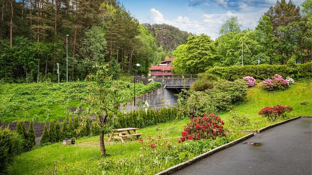 Nærhet til flere turstier