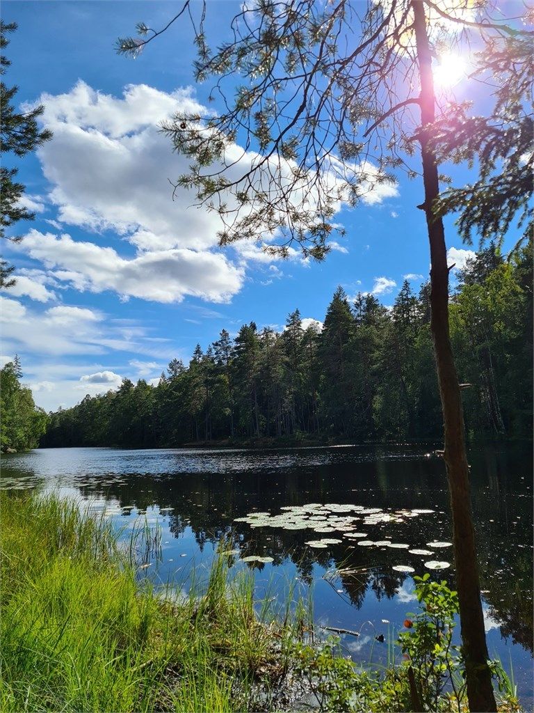 Vakre Nøklevann fra en solrik sommerdag.
Turen kan gå rundt hele Nøklevann, eller finne hundrevis av andre spennende stier i Østmarka.