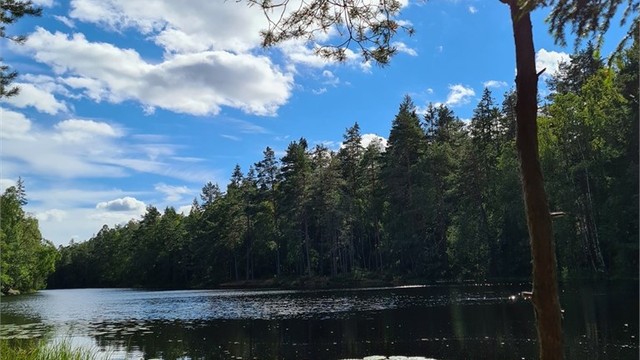 Vakre Nøklevann fra en solrik sommerdag.
Turen kan gå rundt hele Nøklevann, eller finne hundrevis av andre spennende stier i Østmarka.