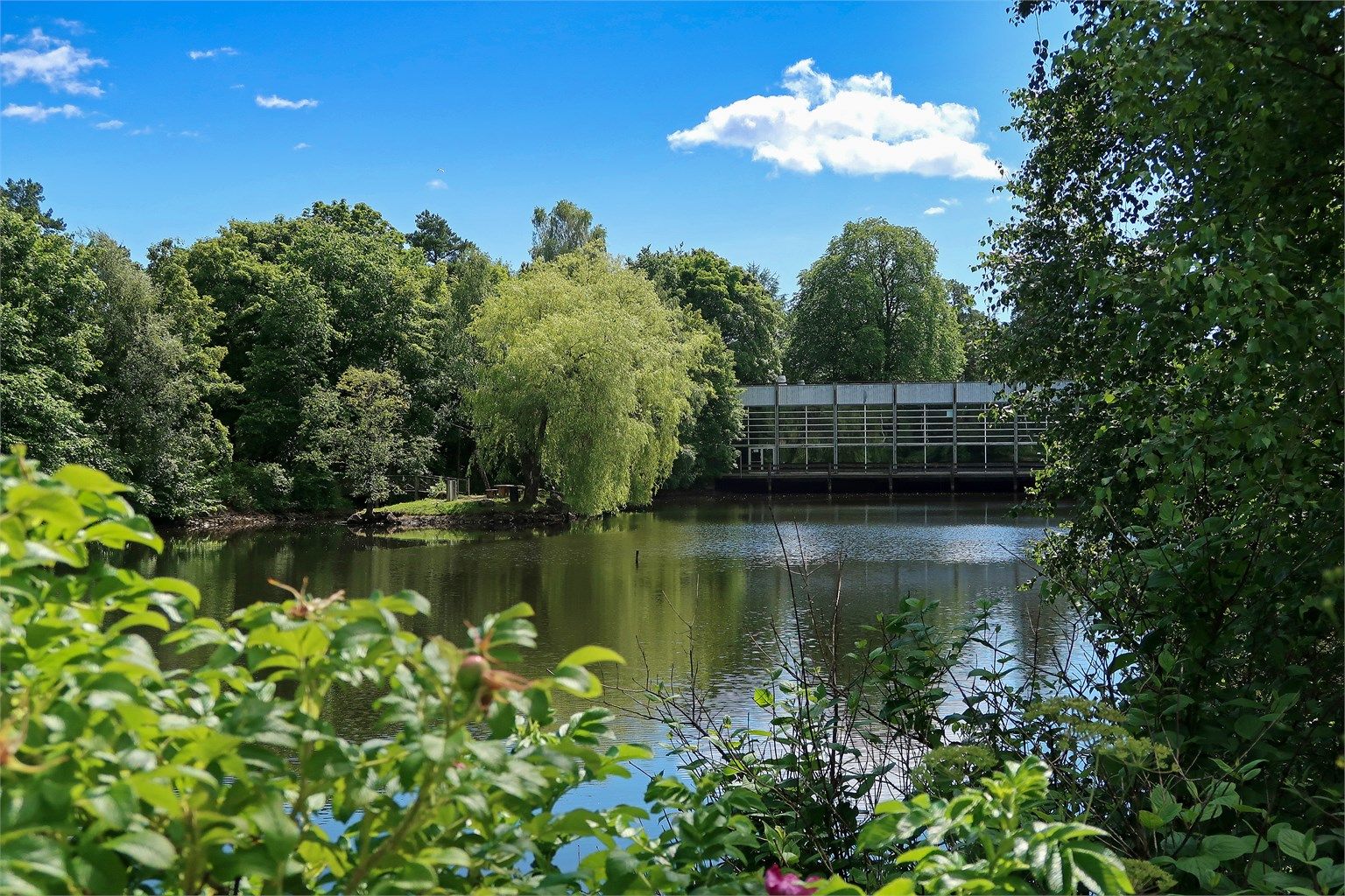 I nærmiljøet er det flotte turmuligheter i lysløype og skog, samt mulighet til bading i ferskvann. 