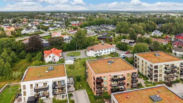 Nærområdet.