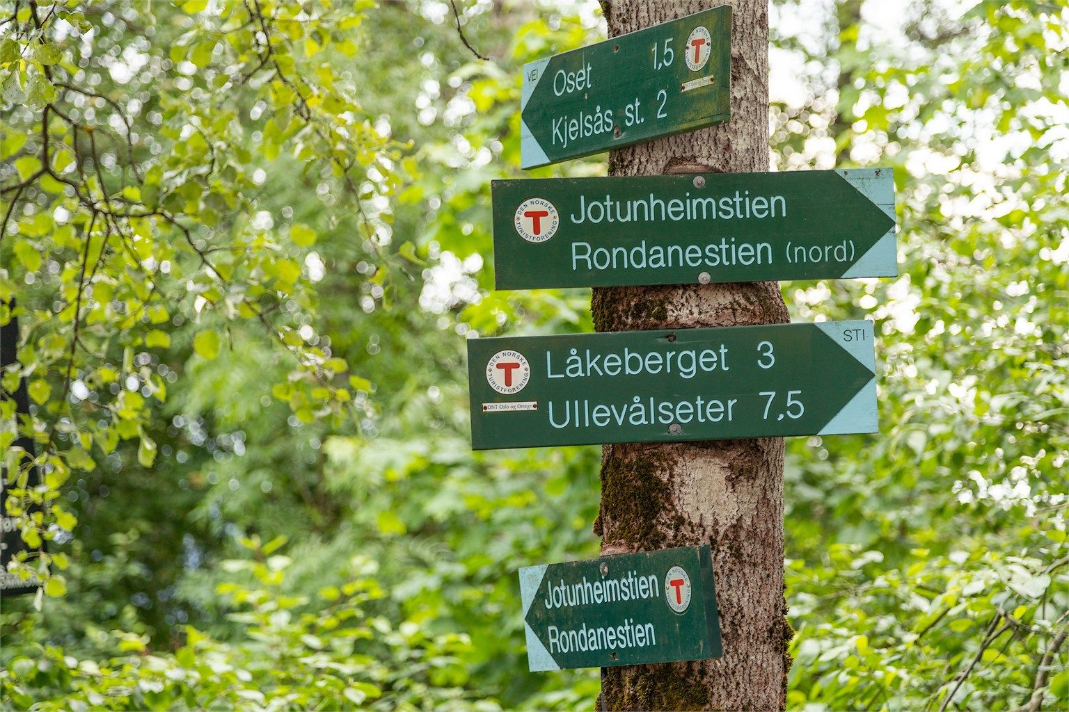 Utrolig flotte turmuligheter like i nærheten