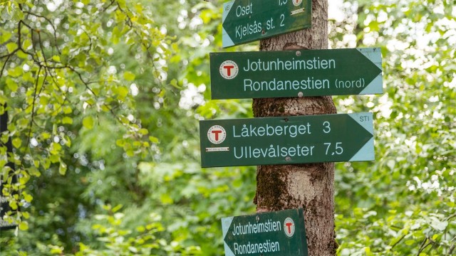 Utrolig flotte turmuligheter like i nærheten