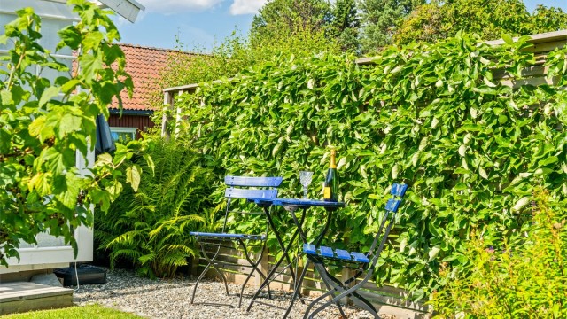 Tomten måler 884,7 kvm og er pent opparbeidet med belegningsstein, diverse beplantninger, plenareal, terrasse på terreng, blomsterkasser og biloppstillingsplass.