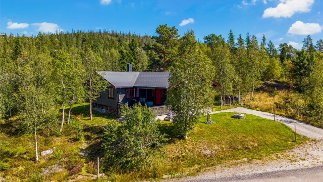 Tomten er opparbeidet med gruslagt innkjørsel på fremsiden av hytta, med plass til parkering for flere biler.