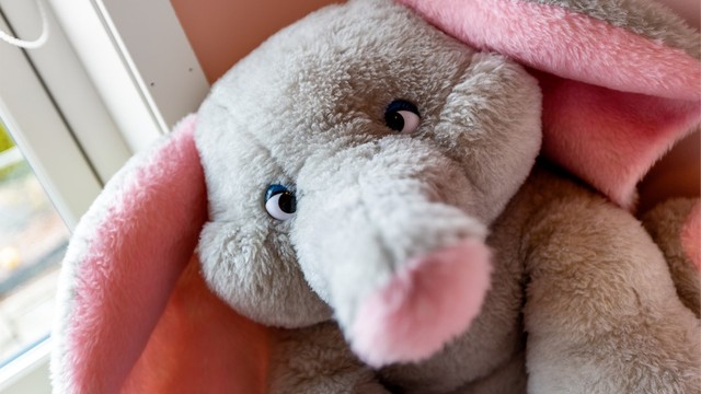 Her er det koselig å være!