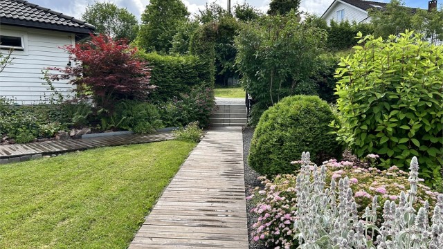 selgers sommerbilde