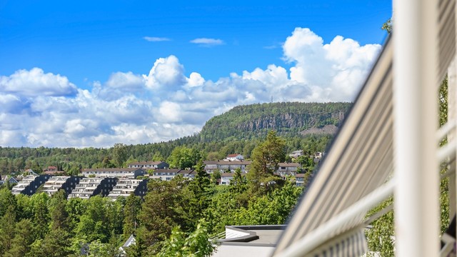 Utsikt