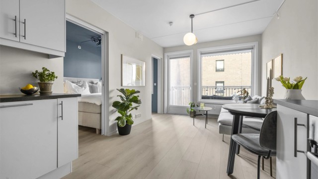 Pen og arealsmart 2-roms selveier fra 2014