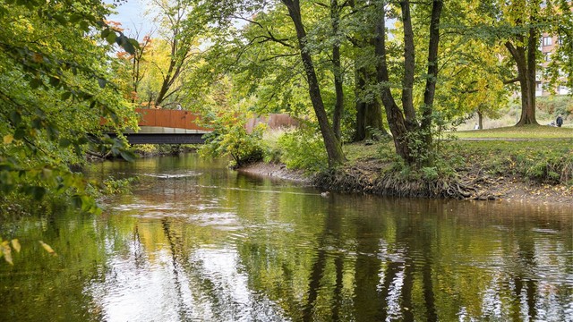 Akerselva byr på flotte turmuligheter langs elva med variert natur og gode gang- og sykkelstier.