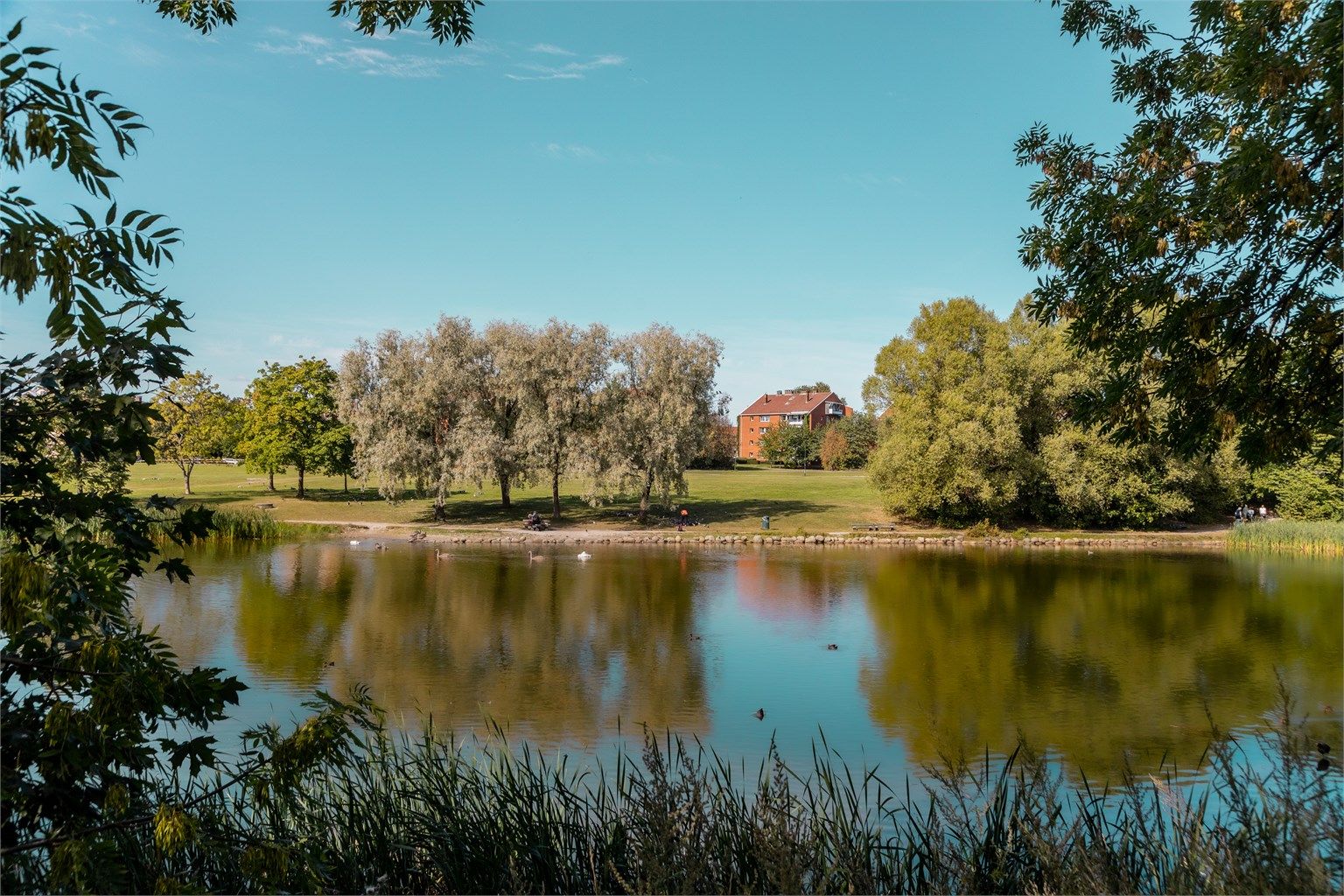 Hovindammen ligger bare få minutters gange fra leiligheten, et perfekt sted for en spasertur, løpetur eller en rolig pause i hverdagen.