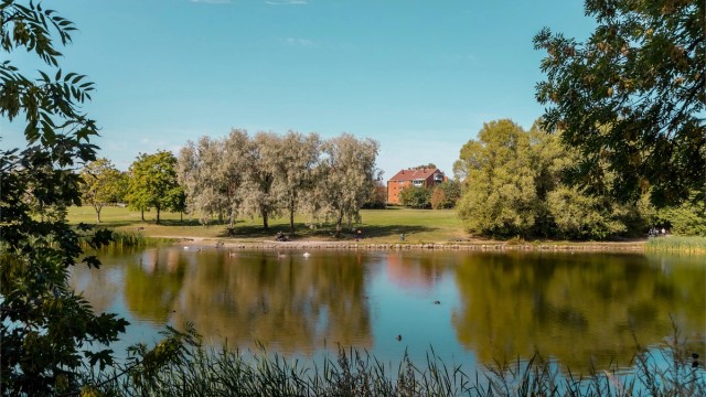 Hovindammen ligger bare få minutters gange fra leiligheten, et perfekt sted for en spasertur, løpetur eller en rolig pause i hverdagen.