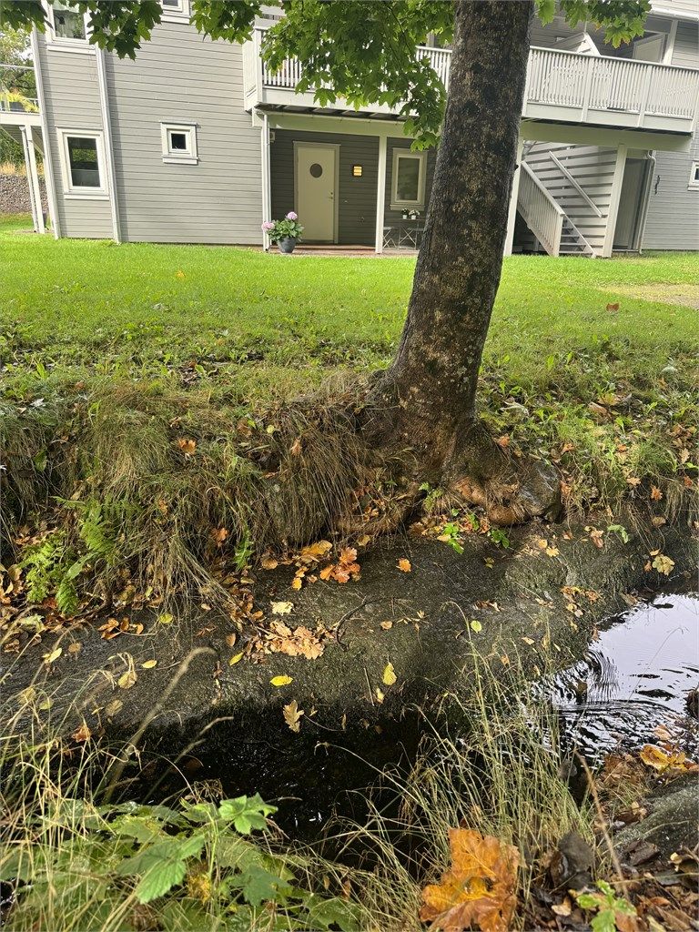 Selgers bilde av bekken ved inngangspartiet