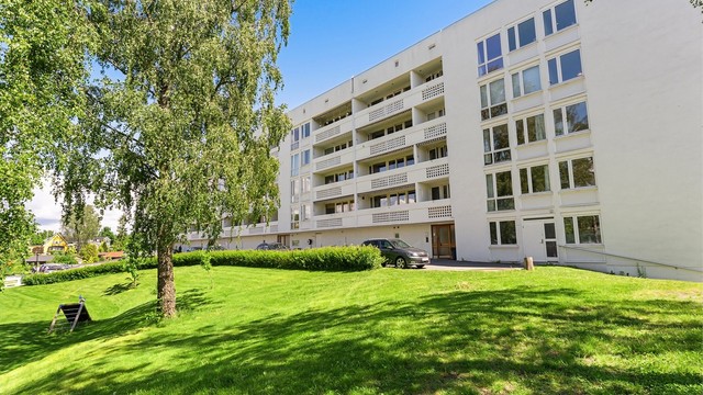 Velkommen til Bjørnekollen 31!