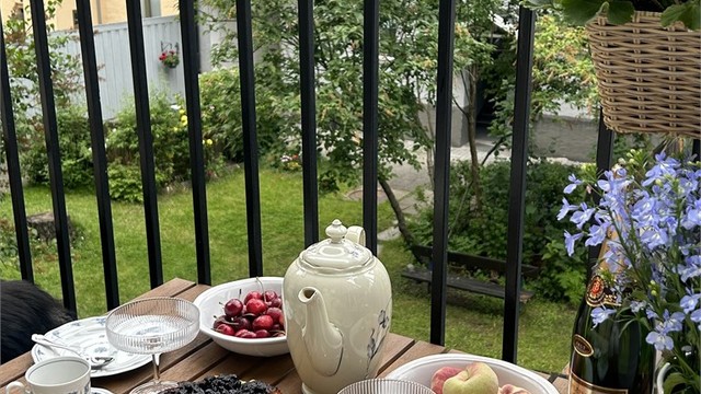 Selgers eget bilde. De har satt stor pris på solforholdene og balkongen sommerstid.